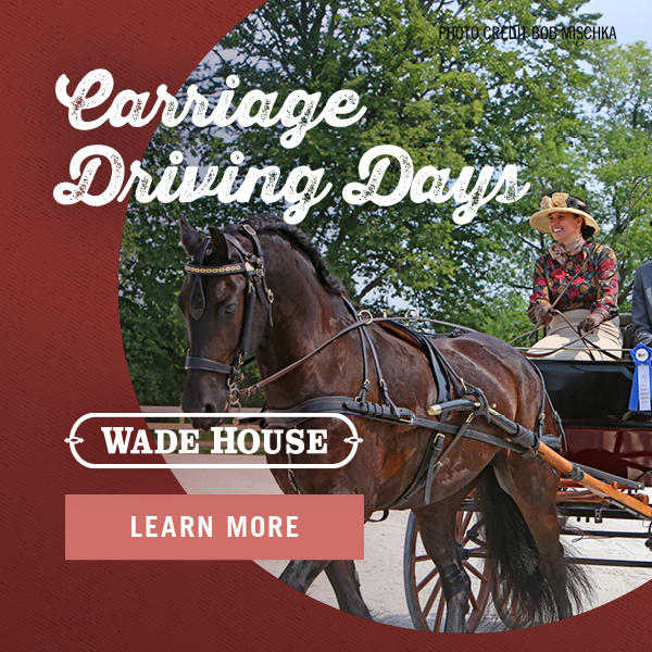 Carriage Driving Days at Wade House! Learn More
